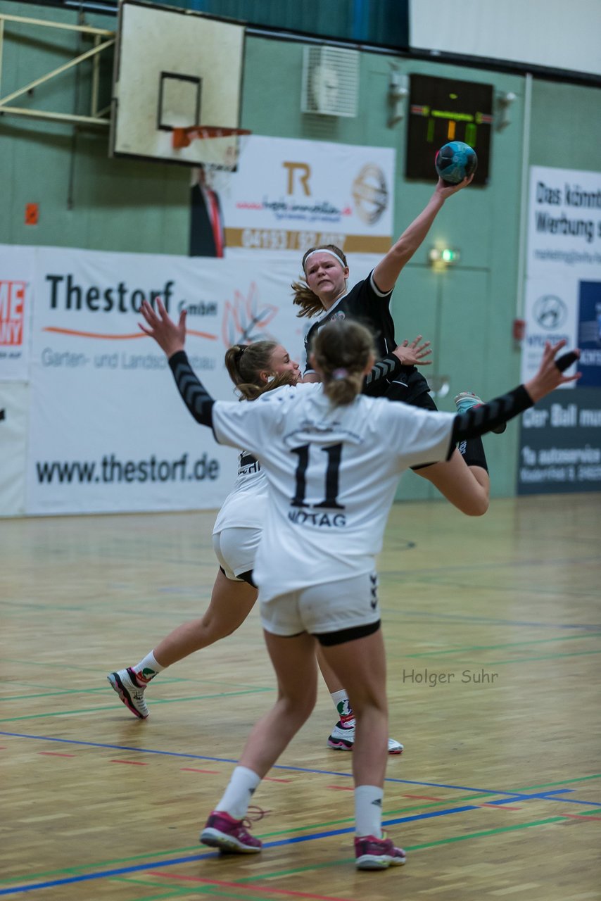 Bild 31 - C-Juniorinnen SVHU - HSD Wagrien : Ergebnis: 30:15